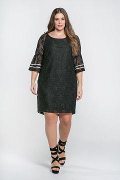 Picture of lace dress with ruffle sleeves