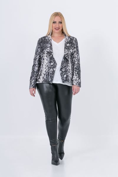 Picture of Snakeskin print blazer